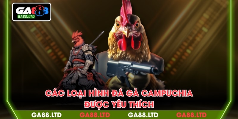 Các loại hình đá gà Campuchia được yêu thích