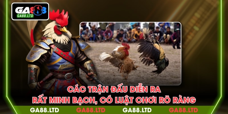 Các trận đấu diễn ra rất minh bạch, có luật chơi rõ ràng