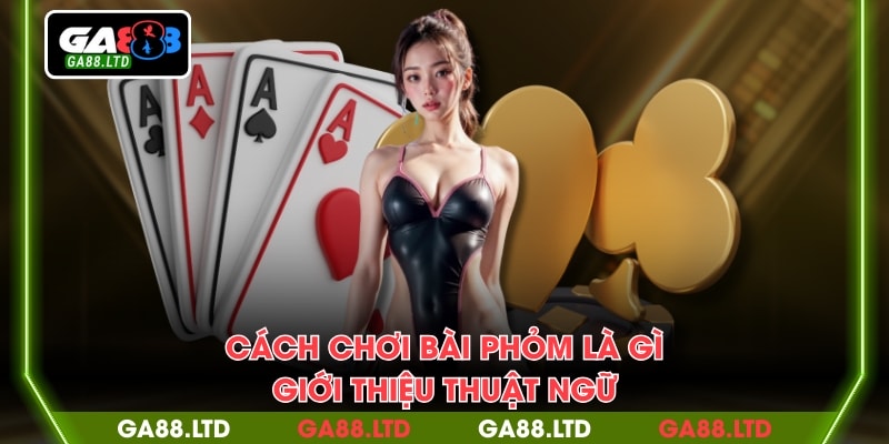 Cách chơi bài phỏm là gì - Giới thiệu thuật ngữ