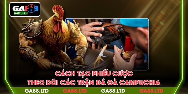 Cách tạo phiếu cược, theo dõi các trận đá gà Campuchia
