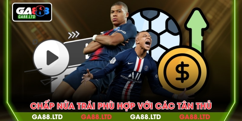 Chấp nửa trái phù hợp với các tân thủ