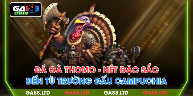 Đá Gà Thomo - Nét Đặc Sắc Đến Từ Trường Đấu Campuchia