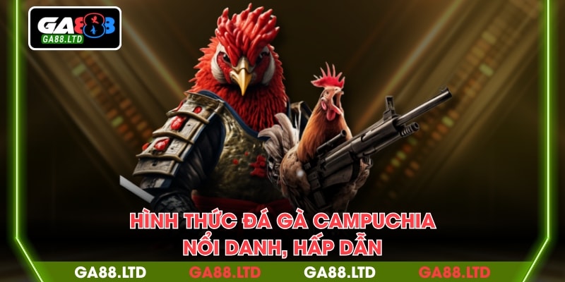 Hình thức đá gà Campuchia nổi danh, hấp dẫn